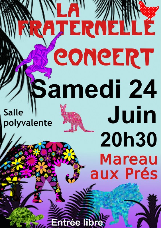 Affiche Concert ZooPsy 2017